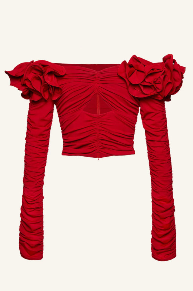 Floral Appliquéd Ruched Crop Top | Dress In Beauty Floral Appliquéd Ruched Crop Top | Dress In Beauty