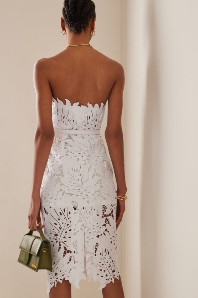 Paulina Lace Midi Dress | Dress In Beauty Paulina Lace Midi Dress | Dress In Beauty