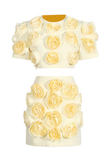 Rose Applique Cropped Top + Skirt Set | Dress In Beauty Rose Applique Cropped Top + Skirt Set | Dress In Beauty