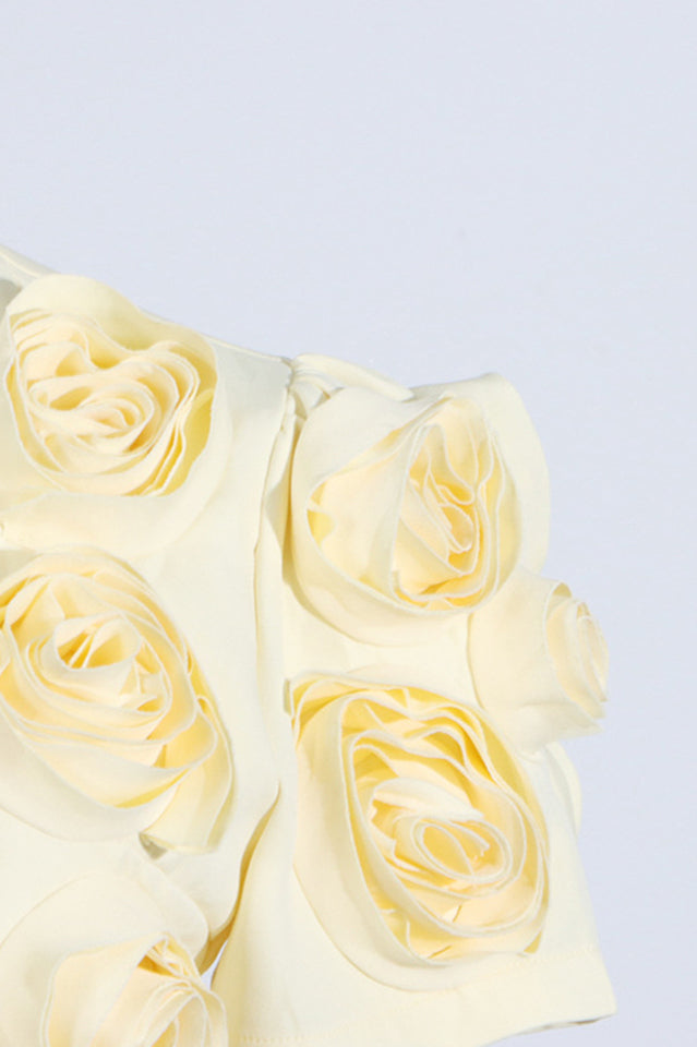 Rose Applique Cropped Top + Skirt Set | Dress In Beauty Rose Applique Cropped Top + Skirt Set | Dress In Beauty