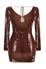 Aoibhe Long Sleeve Sequin Mini Dress | Dress In Beauty Aoibhe Long Sleeve Sequin Mini Dress | Dress In Beauty