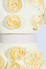 Rose Applique Cropped Top + Skirt Set | Dress In Beauty Rose Applique Cropped Top + Skirt Set | Dress In Beauty