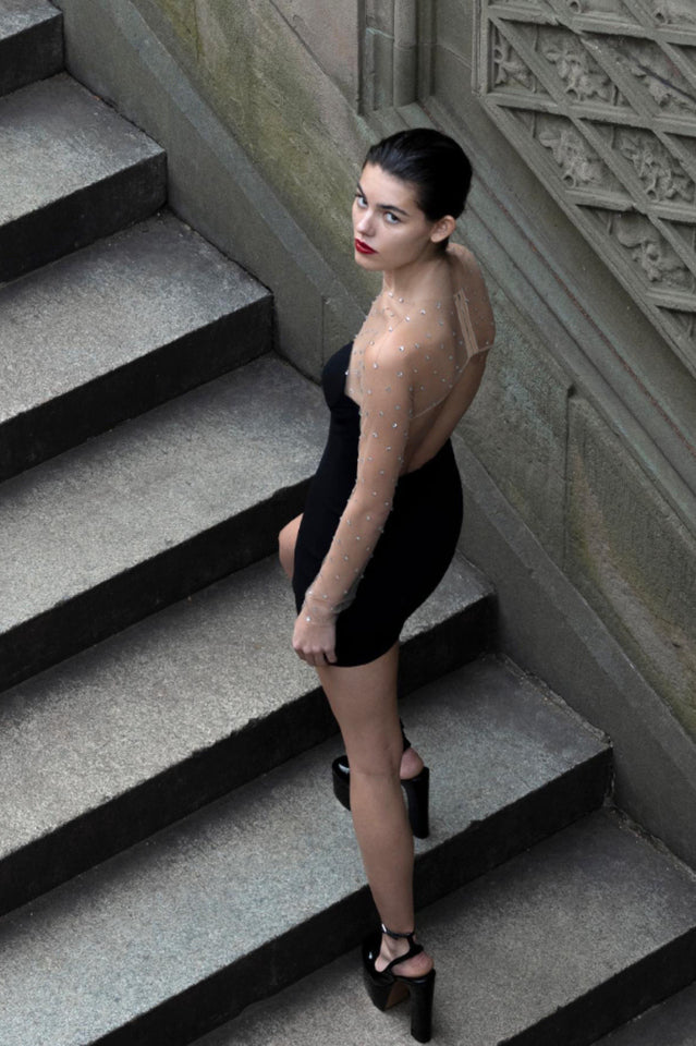 Aarohi Crystal Mesh Mini Dress | Dress In Beauty Aarohi Crystal Mesh Mini Dress | Dress In Beauty