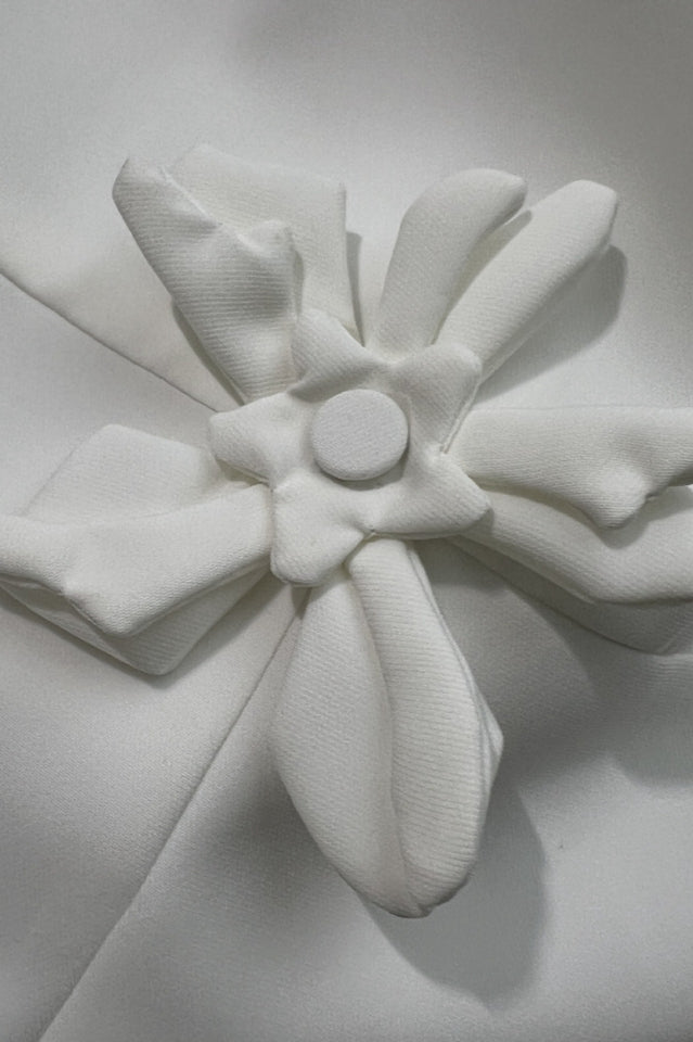 Bertina Floral Applique Mini Dress | Dress In Beauty Bertina Floral Applique Mini Dress | Dress In Beauty