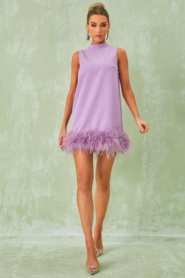 Nisha Feather Mini Dress | Dress In Beauty Nisha Feather Mini Dress | Dress In Beauty