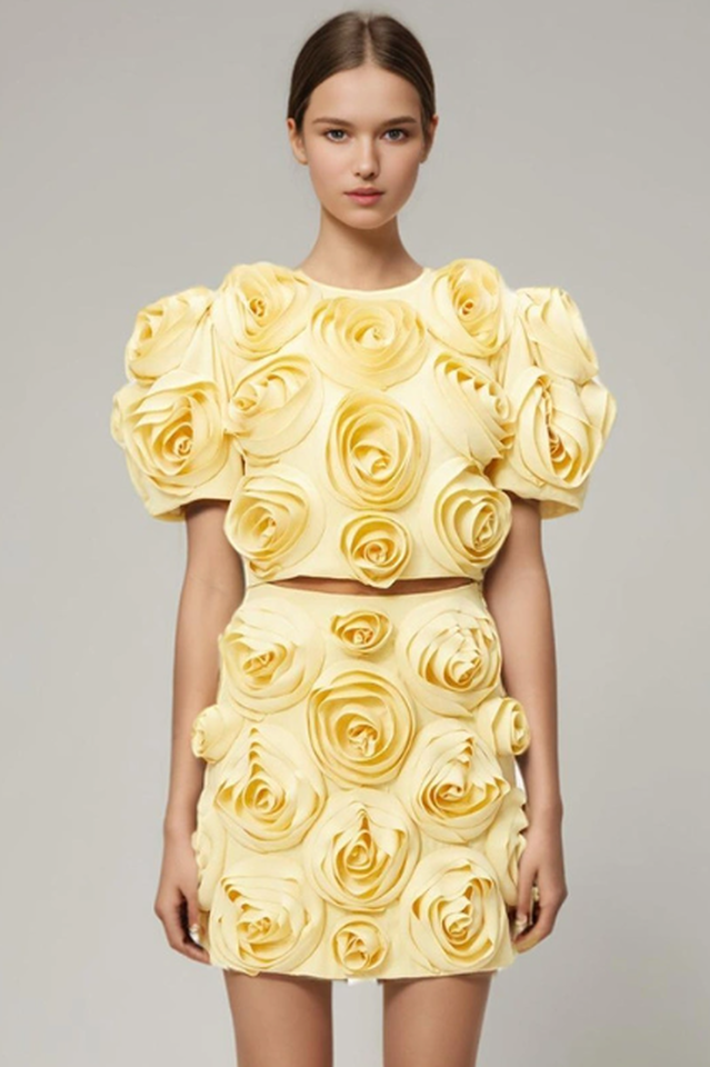 Rose Applique Cropped Top + Skirt Set | Dress In Beauty Rose Applique Cropped Top + Skirt Set | Dress In Beauty