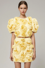 Rose Applique Cropped Top + Skirt Set | Dress In Beauty Rose Applique Cropped Top + Skirt Set | Dress In Beauty