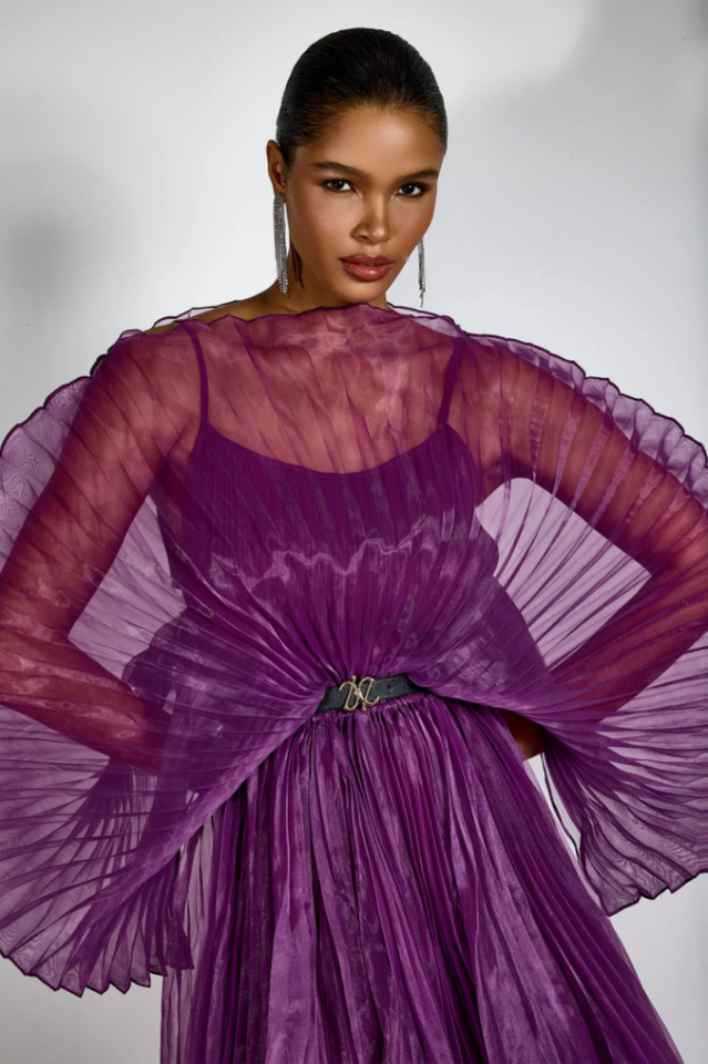 Amanda Semi-sheer Pleated Maxi Dress | Dress In Beauty Amanda Semi-sheer Pleated Maxi Dress | Dress In Beauty