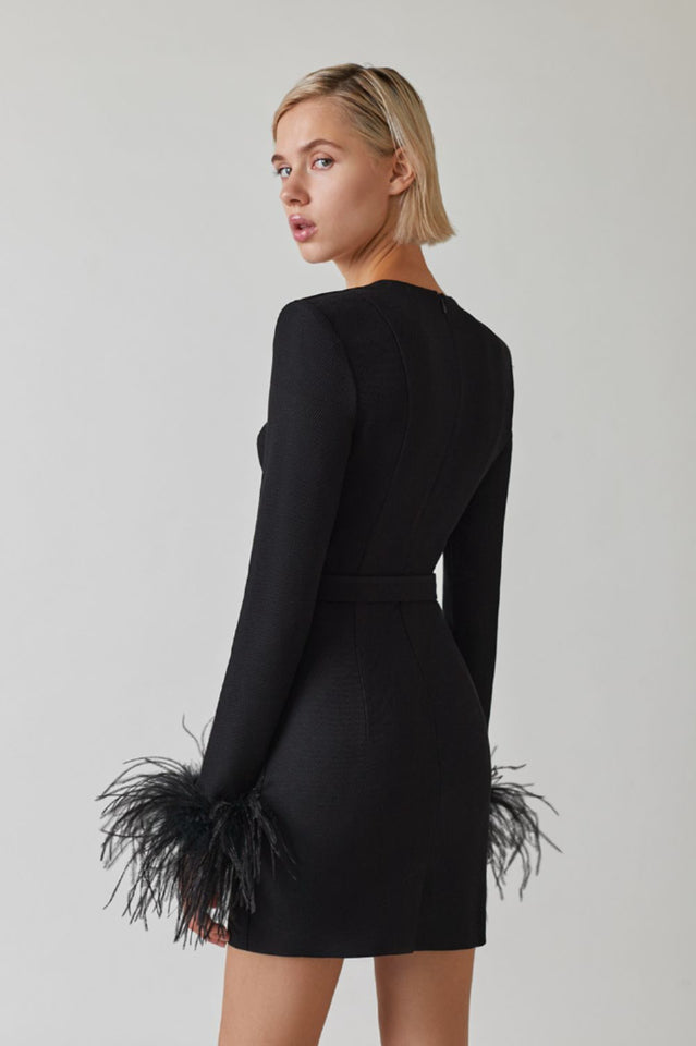 Feather Long Sleeve Bustier Dress | Dress In Beauty Feather Long Sleeve Bustier Dress | Dress In Beauty