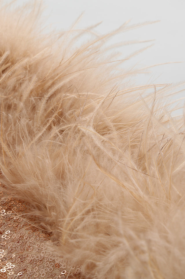 Daria Sequin Feather Mini Dress | Dress In Beauty Daria Sequin Feather Mini Dress | Dress In Beauty