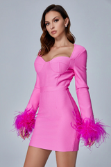 Feather Long Sleeve Bustier Dress | Dress In Beauty Feather Long Sleeve Bustier Dress | Dress In Beauty