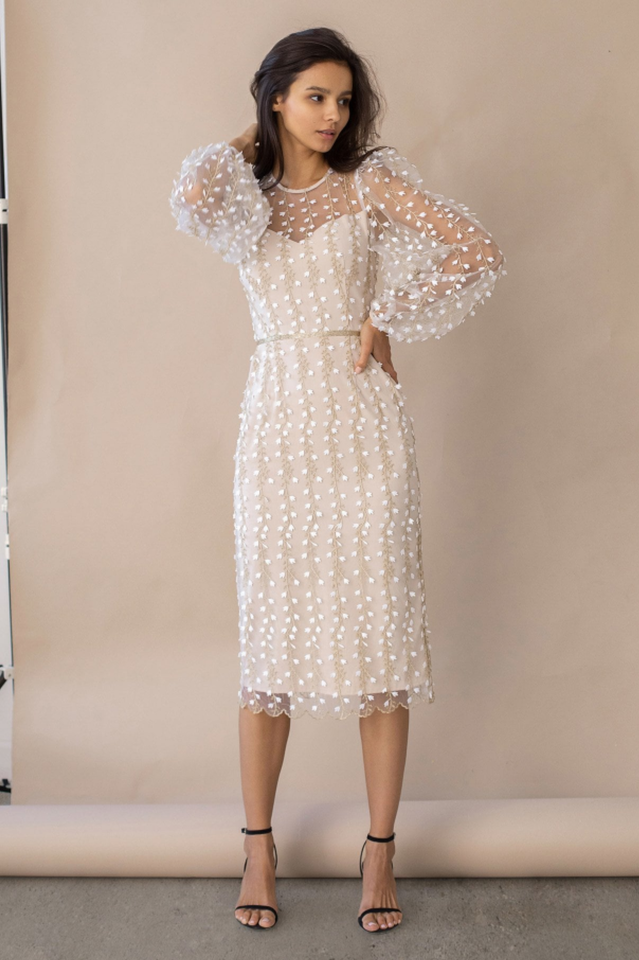 Embroidered Sheer Fitted Dress | Dress In Beauty Embroidered Sheer Fitted Dress | Dress In Beauty