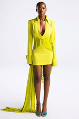 Draped Mesh Corset Mini Dress | Dress In Beauty