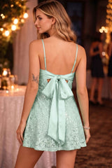Maryam Sequin Lace A-Line Mini Dress | Dress In Beauty