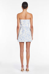Fae Dress in Toile Brocade