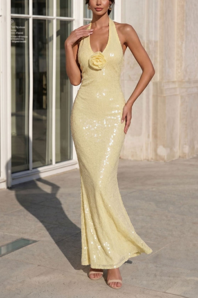 Shimmering Secrets Sequin Halter Maxi Dress | Dress In Beauty