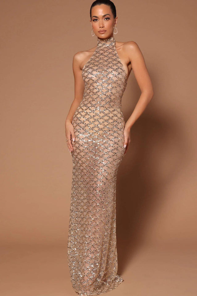 Lunia Sequin Backless Maxi Dress | Dress In Beauty
