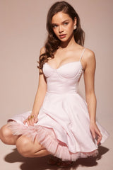 Mademoiselle Ballerina Pink Tulle Mini Dress | Dress In Beauty
