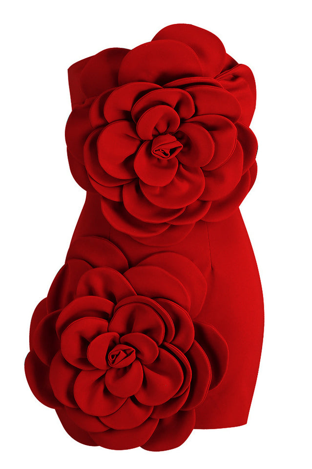 Sarrili 3D Floral Corset Mini Dress | Dress In Beauty