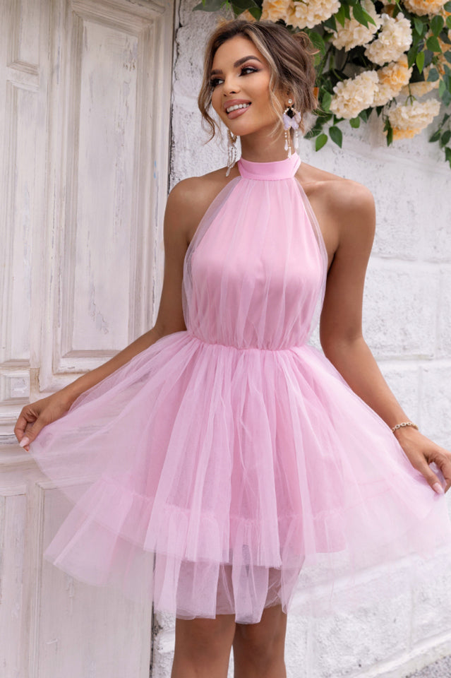 Halter Neck Backless Mesh Dress | Dress In Beauty