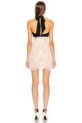Crepe Paneled Lace Halterneck Mini Dress | Dress In Beauty