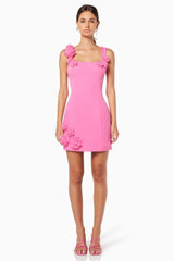 Trompe Mini Dress