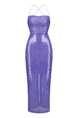 Emilina Sequin Backless Maxi Dress | Dress In Beauty