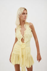Rose Detailed Halterneck Mini Dress | Dress In Beauty