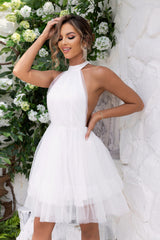 Halter Neck Backless Mesh Dress | Dress In Beauty