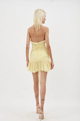 Rose Detailed Halterneck Mini Dress | Dress In Beauty