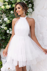 Halter Neck Backless Mesh Dress | Dress In Beauty
