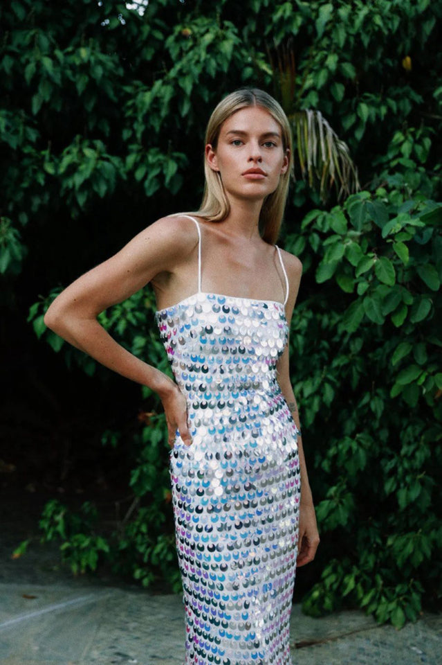 Phoenix Midi Dress in Sequins | Dress In Beauty