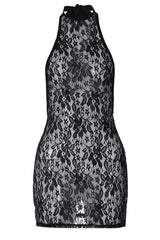 See Through Lace Mini Dress