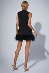 Nisha Feather Mini Dress | Dress In Beauty