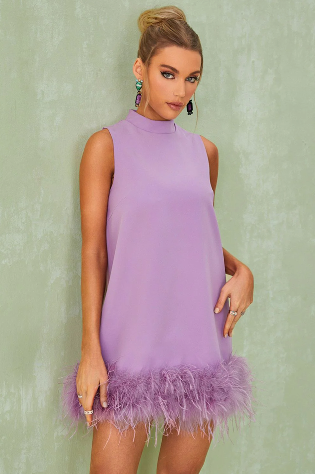 Nisha Feather Mini Dress | Dress In Beauty