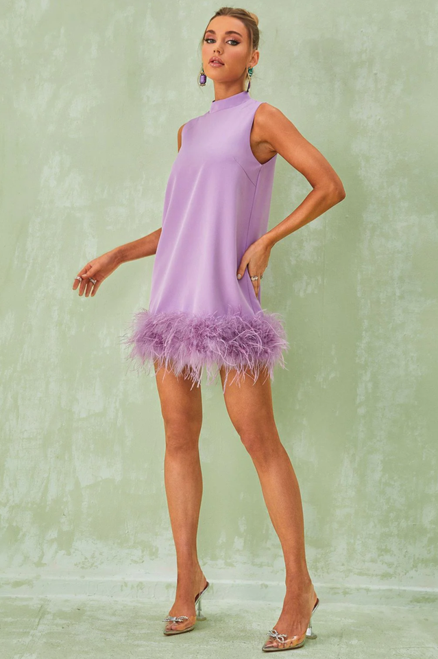 Nisha Feather Mini Dress | Dress In Beauty