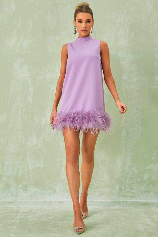 Nisha Feather Mini Dress | Dress In Beauty