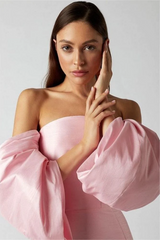 Lantern Sleeves Off Shoulder Mini Dress | Dress In Beauty