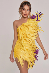 Paislee Asymmetric Feather Mini Dress | Dress In Beauty