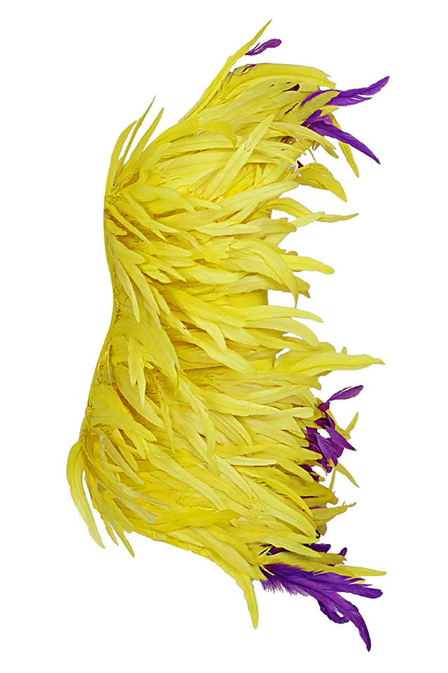 Paislee Asymmetric Feather Mini Dress | Dress In Beauty
