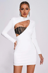 Rora Lace Cutout Mini Dress | Dress In Beauty