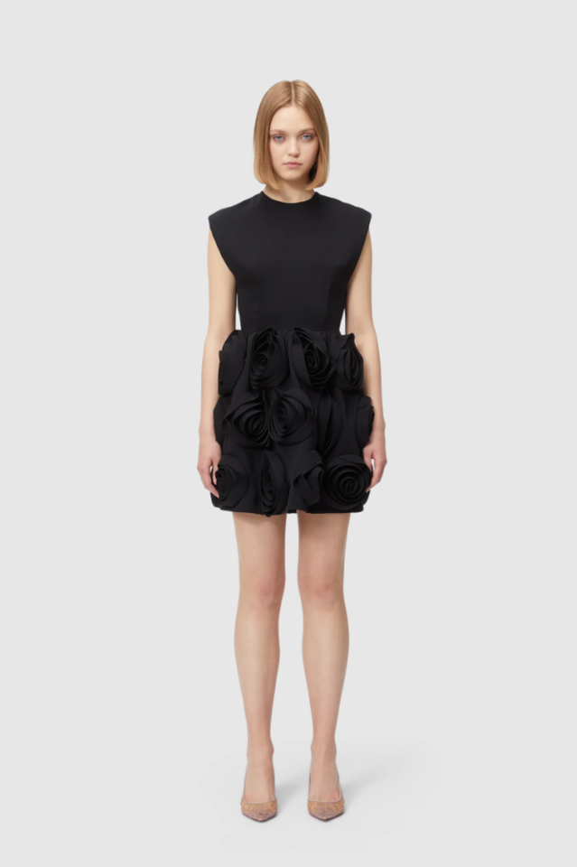 Rose Applique Mini Dress | Dress In Beauty