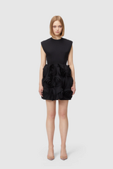Rose Applique Mini Dress | Dress In Beauty