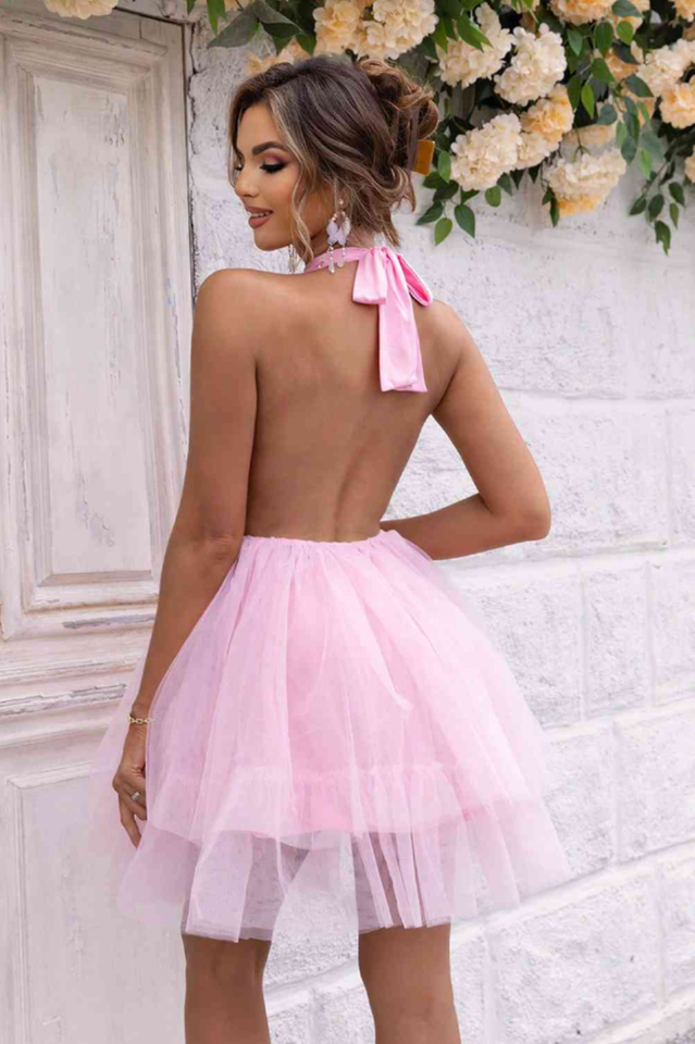 Halter Neck Backless Mesh Dress | Dress In Beauty