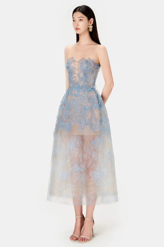 Beaded Lace Dress | Dress In Beauty