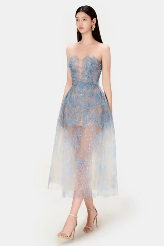 Beaded Lace Dress | Dress In Beauty