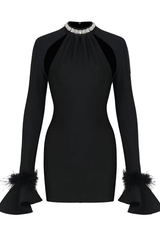 Feather Detail Long Sleeve Crystal Dress