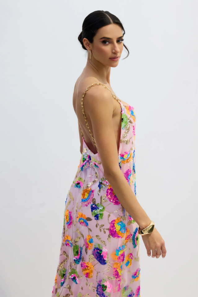 Fanny Embroidered Sequins Backless Maxi Dress | Dress In Beauty