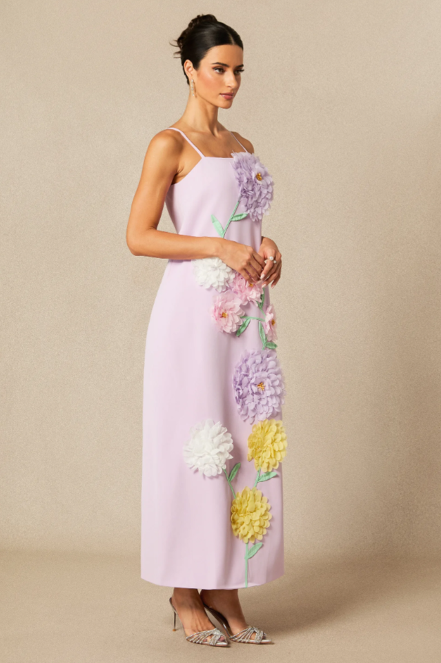 Louisa Floral Applique Maxi Dress | Dress In Beauty