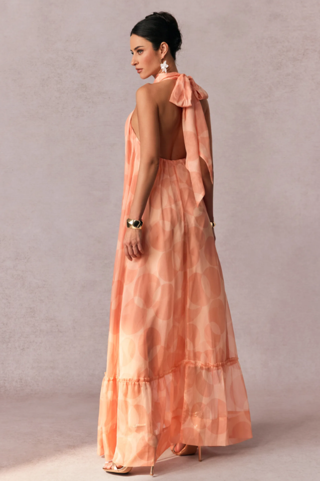 Stephanie Printed Halter Neck Maxi Dress | Dress In Beauty